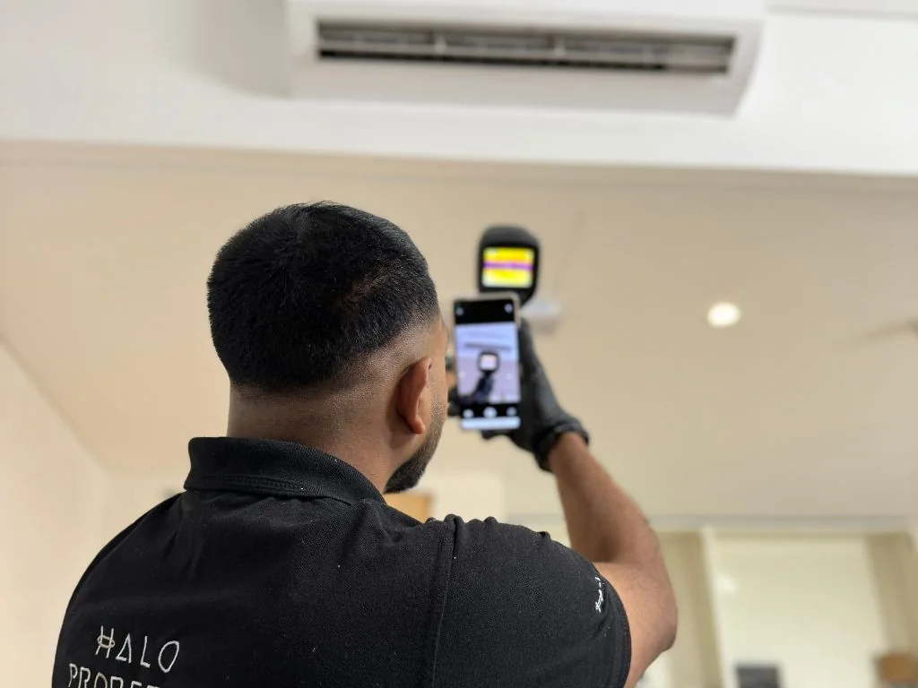 Halo inspector checking a property's interior with professional equipment